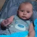 Bebê de 10 meses é internado em estado grave após ser picado duas vezes por escorpião no Noroeste do ES Bebê de 10 meses é internado em estado grave após ser picado duas vezes por escorpião no Noroeste do ES