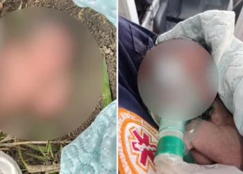 Bebê recém-nascida é encontrada em região de mata entre Boa Esperança e São Mateus
