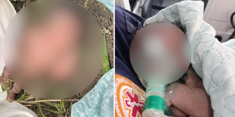 Bebê recém-nascida é encontrada em região de mata entre Boa Esperança e São Mateus