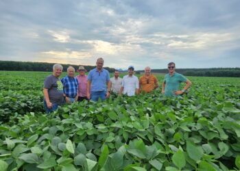 Força do agro: Pinheiros passa a integrar grupo de municípios com PIB de R$ 1 bilhão