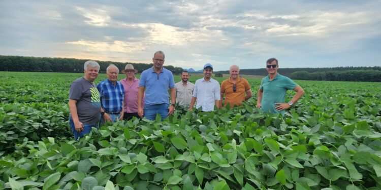 Força do agro: Pinheiros passa a integrar grupo de municípios com PIB de R$ 1 bilhão