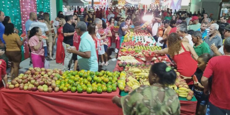 Festividades de Final de Ano em Barra de São Francisco têm noite marcada por música, tradição e praça lotada