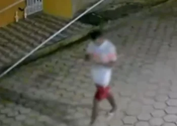 Homem é preso suspeito de série de furtos em Mantenópolis