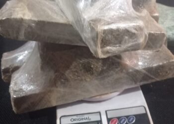 Polícia encontra depósito de drogas escondido em mata de Cachoeirinha de Itaúnas, em Barra de São Francisco