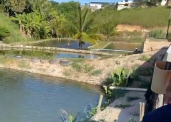 Projeto de produção de peixes em Água Doce do Norte é modelo para Pinheiros