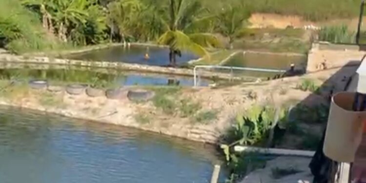 Projeto de produção de peixes em Água Doce do Norte é modelo para Pinheiros