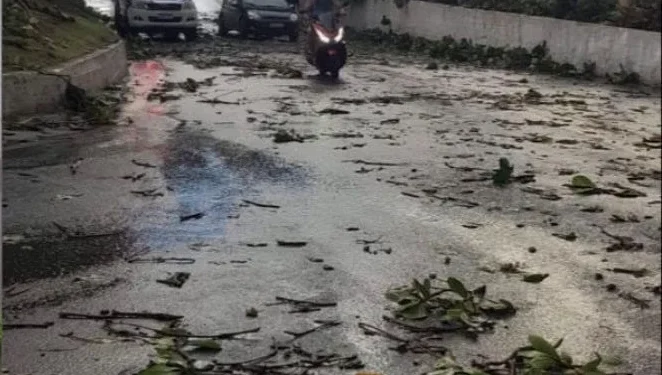 Temporal derruba árvores, causa danos e deixa bairros sem energia em Colatina Temporal derruba árvores, causa danos e deixa bairros sem energia em Colatina