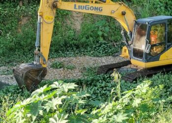 Estiagem em Barra de São Francisco: Prefeitura mobiliza maquinário para retirar peixes mortos dos rios Itaúnas e São Francisco