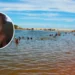 Criança de 1 ano morre afogada em Pontal do Ipiranga, em Linhares Criança de 1 ano morre afogada em Pontal do Ipiranga, em Linhares