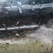 Pé d’agua cai em Vitória; previsão é para todo fim de semana Pé d’agua cai em Vitória; previsão é para todo fim de semana