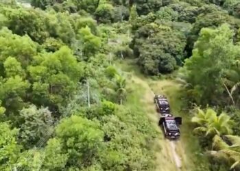 Caso Aracelli: apurações da morte de Dantinho Michelini voltam à  estaca zero