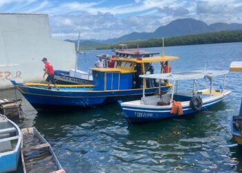 Bombeiros encontram a cabeça de Dantinho Michelini