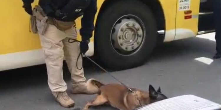 O “movimento” não para: PRF apreende em bagageiro de ônibus 21kg de maconha em Guarapari O “movimento” não para: PRF apreende em bagageiro de ônibus 21kg de maconha em Guarapari