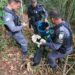 Operação da Força Tática com apoio do K9 apreende quase 3 kg de drogas em Águia Branca