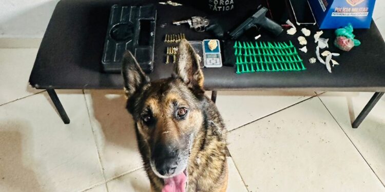 Polícia detém três suspeitos e apreende de armas e drogas no interior de Nova Venécia