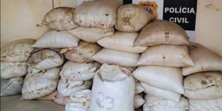Operação apreende 1,8 tonelada de café e prende foragido em Nova Venécia