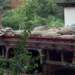 Polícia recupera 40 sacas de café furtadas de propriedade rural em Linhares; ex-funcionário é suspeito Polícia recupera 40 sacas de café furtadas de propriedade rural em Linhares; ex-funcionário é suspeito