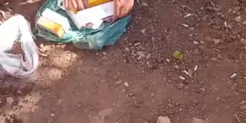 Polícia Civil recupera celulares enterrados em quintal de casa após furto em Mantenópolis Polícia Civil recupera celulares enterrados em quintal de casa após furto em Mantenópolis