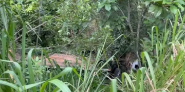 Motorista morre após ser arremessado de caminhão na zona rural de Vila Valério Motorista morre após ser arremessado de caminhão na zona rural de Vila Valério