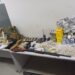 Polícia apreende armas, quase 26 quilos de drogas e munições durante ação em assentamento de São Mateus