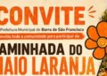 Prefeitura de Barra de São Francisco realiza caminhada do Maio Laranja nesta segunda-feira (18)