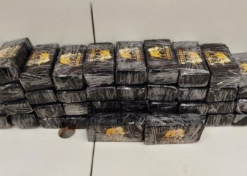 Motorista preso na Dutra com 50kg de cocaína com destino ao ES é de Campos dos Goytacazes