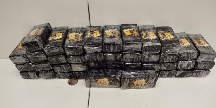 Motorista preso na Dutra com 50kg de cocaína com destino ao ES é de Campos dos Goytacazes