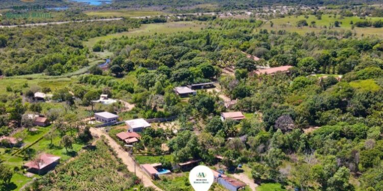 Preso casal apontado como autor de assassinato de advogado em Guarapari Preso casal apontado como autor de assassinato de advogado em Guarapari