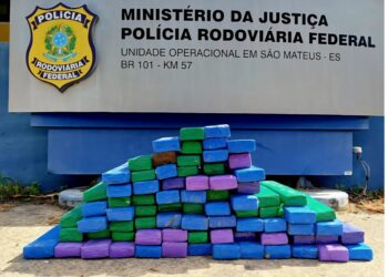 Motorista tenta fugir da PRF e abandona caminhonete com 100kg de maconha no cafezal