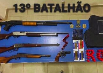 Arsenal com escopetas e centenas de munições é apreendido durante ocorrência da Lei Maria da Penha em São Mateus