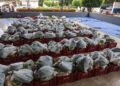 Prefeitura realiza entrega de “Cesta Verde” para 143 famílias em Barra de São Francisco