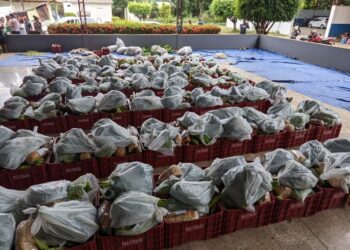 Prefeitura realiza entrega de “Cesta Verde” para 143 famílias em Barra de São Francisco
