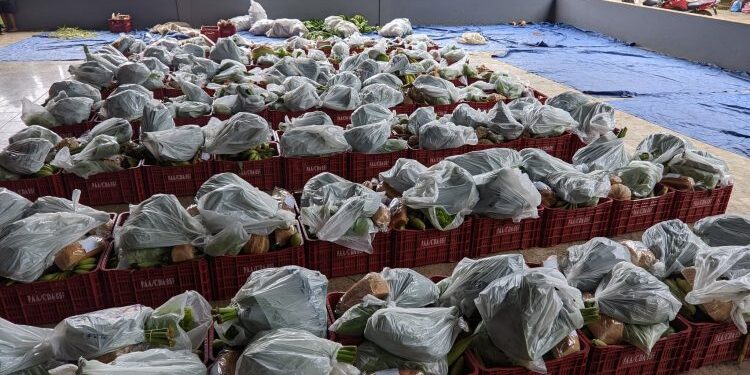 Prefeitura realiza entrega de “Cesta Verde” para 143 famílias em Barra de São Francisco