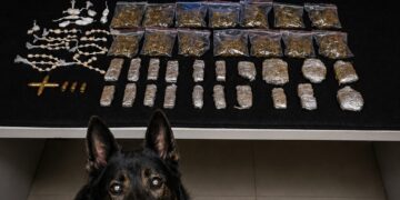 Polícia Militar apreende drogas e munições em lote vago na Vila Landinha, em Barra de São Francisco