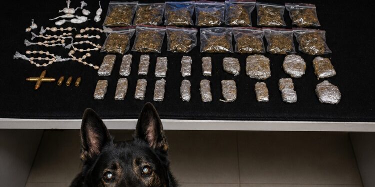 Polícia Militar apreende drogas e munições em lote vago na Vila Landinha, em Barra de São Francisco