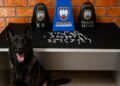 Polícia apreende 105 pedras de crack em Barra de São Francisco