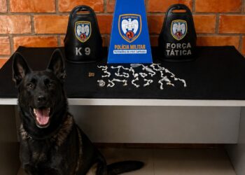 Polícia apreende 105 pedras de crack em Barra de São Francisco