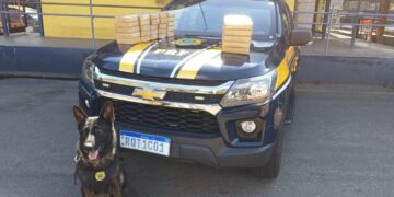 PRF apreende cerca de 52 kg de pasta base de cocaína escondidos em veículo em Cariacica PRF apreende cerca de 52 kg de pasta base de cocaína escondidos em veículo em Cariacica