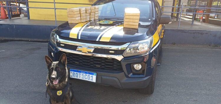 PRF apreende cerca de 52 kg de pasta base de cocaína escondidos em veículo em Cariacica PRF apreende cerca de 52 kg de pasta base de cocaína escondidos em veículo em Cariacica