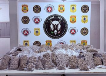PF prende homem com 200kg de maconha em Itabela (BA)