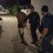 Polícia responde rápido e prende três suspeitos de homicídio em Jaguaré