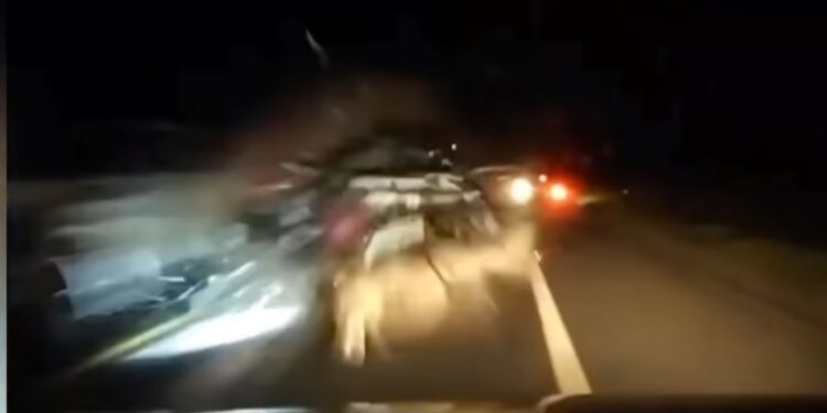 Polícia prende, em ônibus de turismo, motorista que provocou acidente com quatro mortes na BR 101 Polícia prende, em ônibus de turismo, motorista que provocou acidente com quatro mortes na BR 101