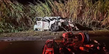 Dois trabalhadores rurais morrem após carro ser atingido, invadir contramão e bater de frente com carreta na BR-101, em Linhares