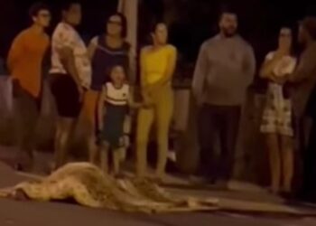 Adolescente de 13 anos morre em acidente entre moto e carro na zona rural de São Mateus