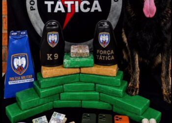 Polícia encontra mais 18 kg de maconha escondidos em área rural de Água Doce do Norte