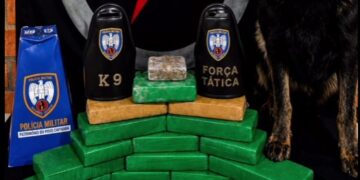 Polícia encontra mais 18 kg de maconha escondidos em área rural de Água Doce do Norte