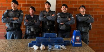 PM apreende mais de 10 kg de drogas escondidas em área de mata no bairro Colina, em Barra de São Francisco