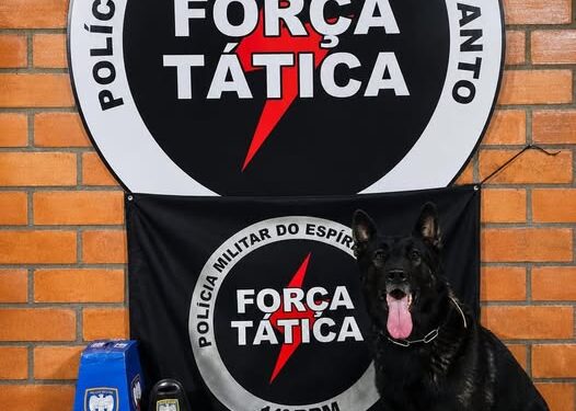 PM apreende droga enterrada no bairro Colina, em Barra de São Francisco PM apreende droga enterrada no bairro Colina, em Barra de São Francisco