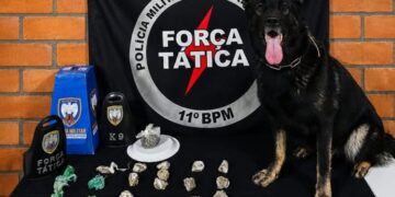 PM apreende droga enterrada no bairro Colina, em Barra de São Francisco