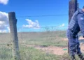Homem é encontrado morto em área de pastagem em Linhares